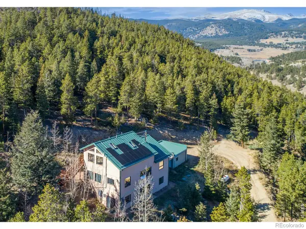 103 Last Chance Court, Nederland, CO 80466