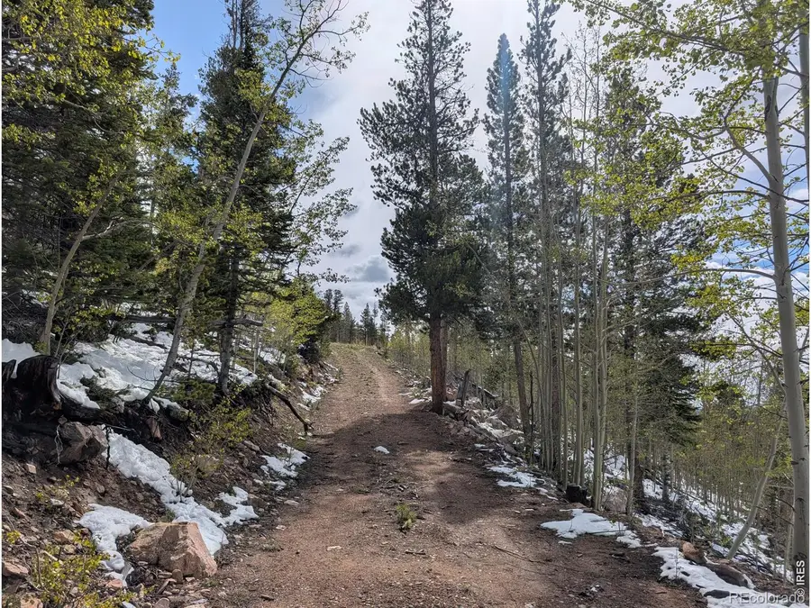540 Elkridge Road, Red Feather Lakes, CO 80545 - #2
