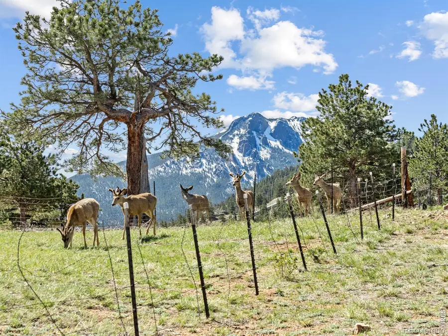 2010 Marys Lake Road, Estes Park, CO 80517 - #2