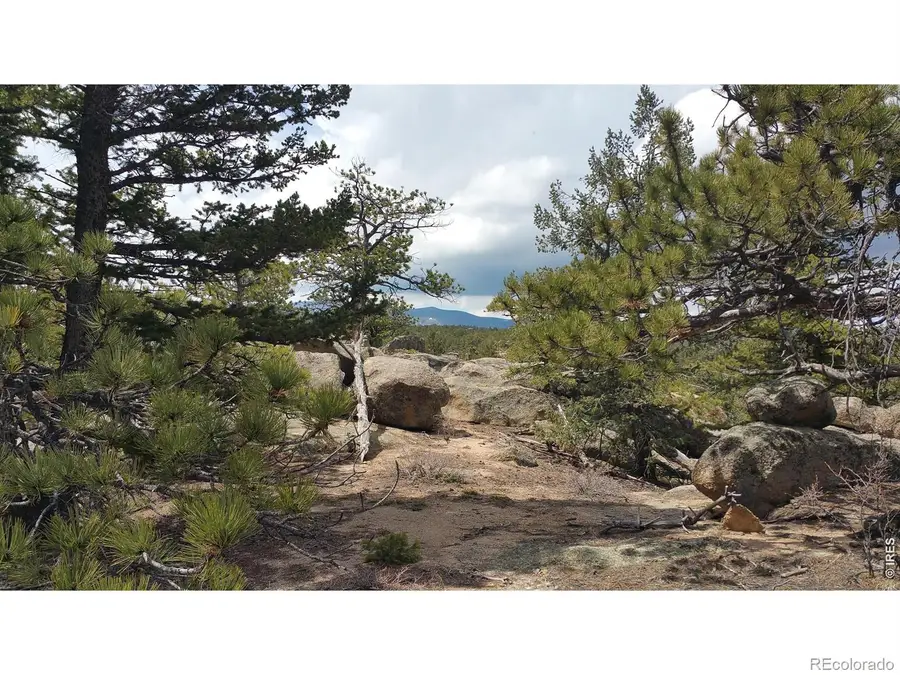2928 Fox Acres Drive E, Red Feather Lakes, CO 80545 - #3