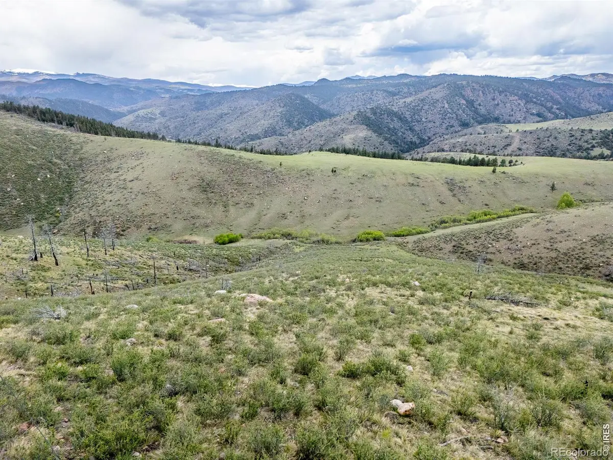 208 Little Bald Mountain Court, Livermore, CO 80536 - #1