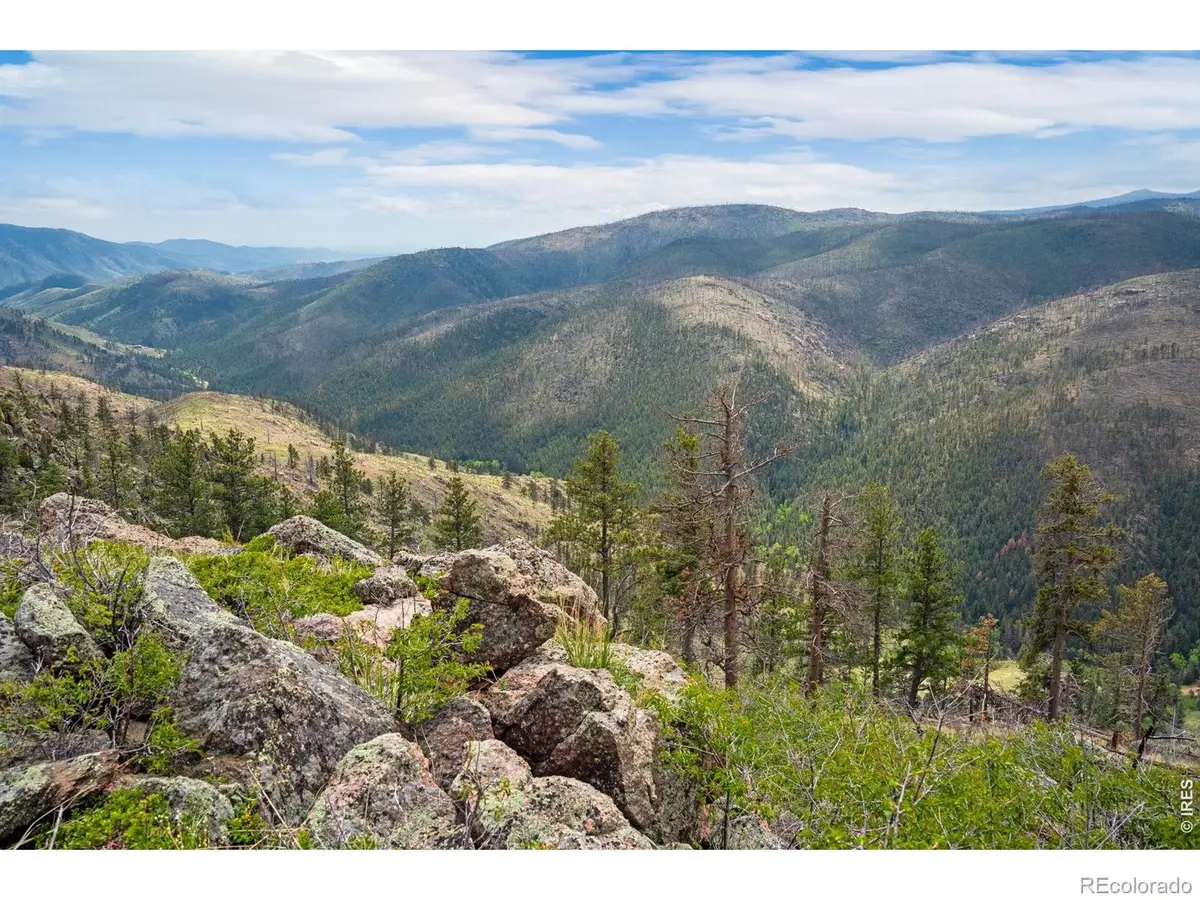 0 Spencer Mountain Road, Bellvue, CO 80512 - #1