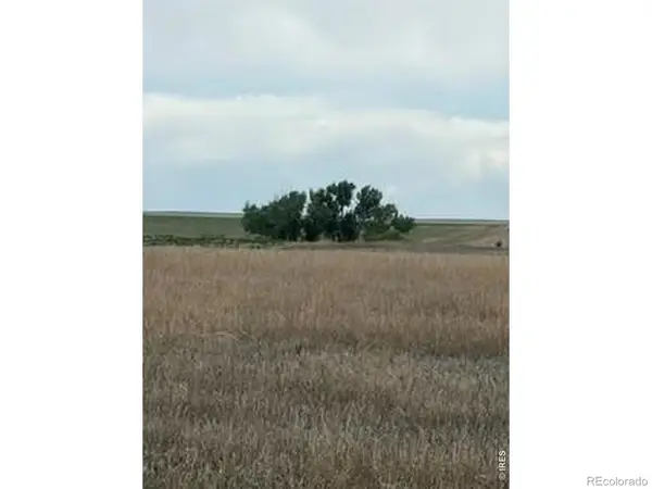 Peoria Crossing Road, Wiggins, CO 80654