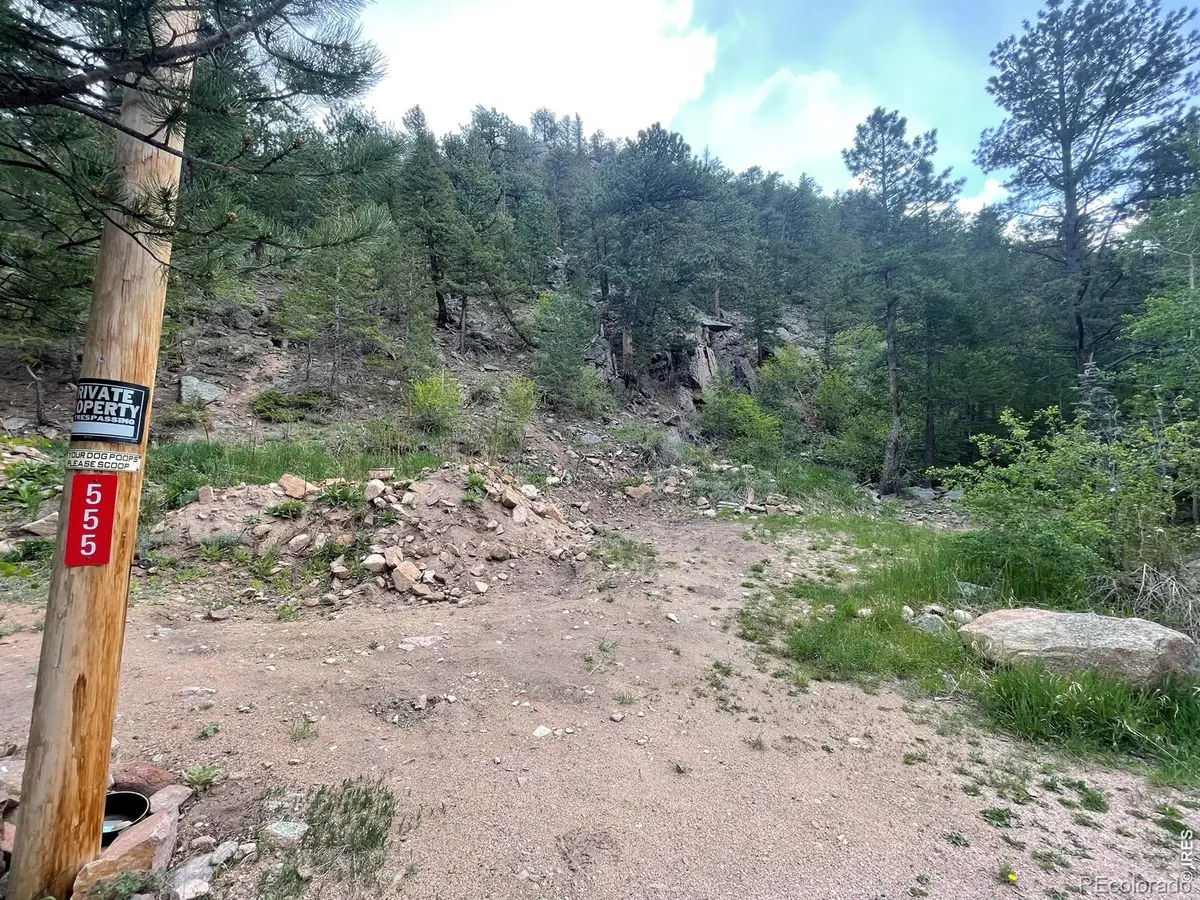 555 Riverside Drive, Lyons, CO 80540 - #1