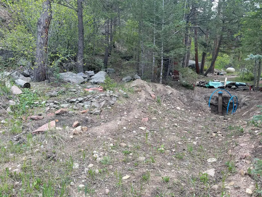 555 Riverside Drive, Lyons, CO 80540 - #3