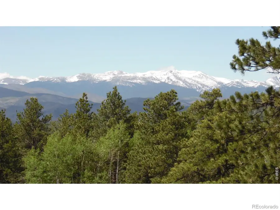 1502 Bald Mountain Drive, Livermore, CO 80536 - #3