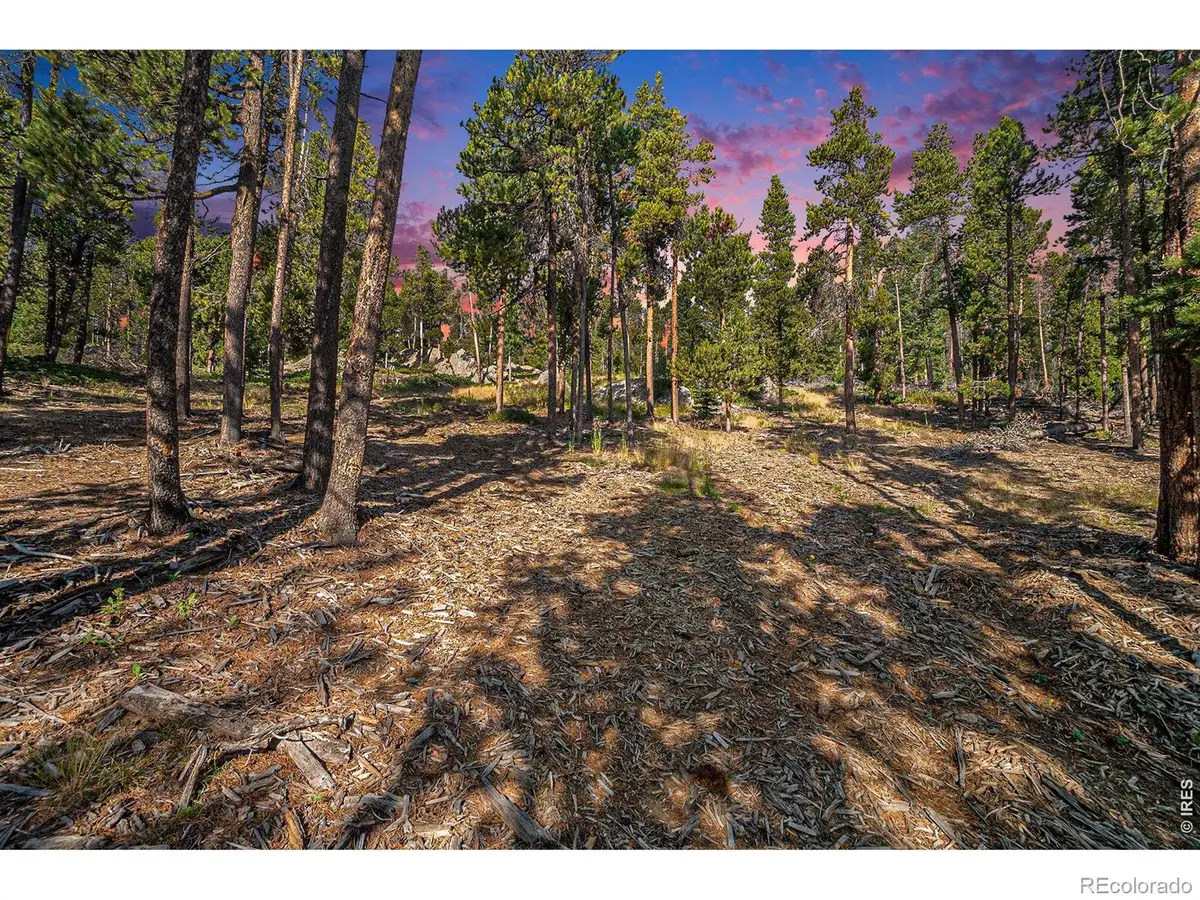 231 Granite Drive, Drake, CO 80515 - #1