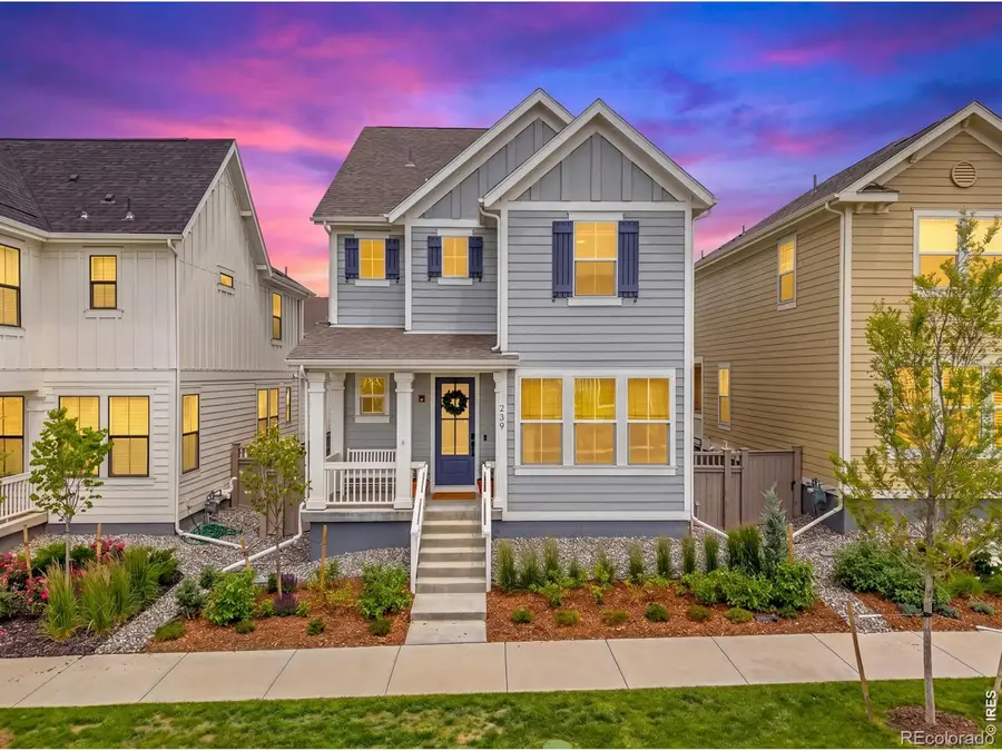 239 Washington Street, Erie, CO 80516 - #2
