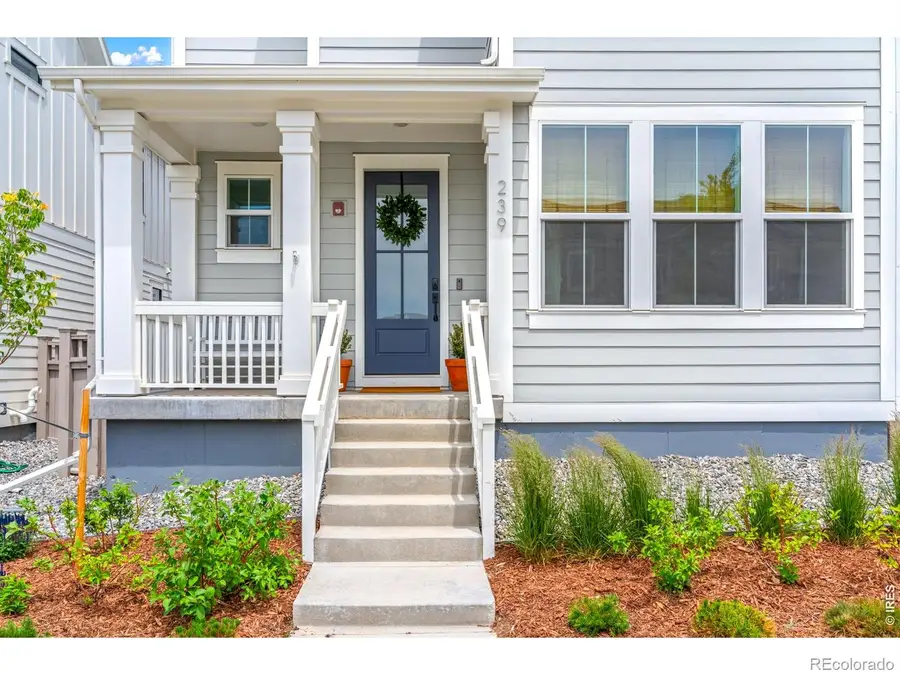 239 Washington Street, Erie, CO 80516 - #3