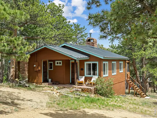 270 E Ski Road, Allenspark, CO 80510
