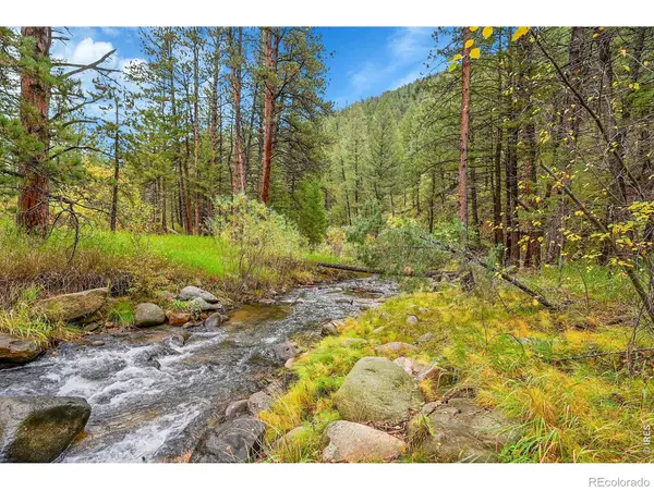 5567 Lefthand Canyon Drive, Jamestown, CO 80455