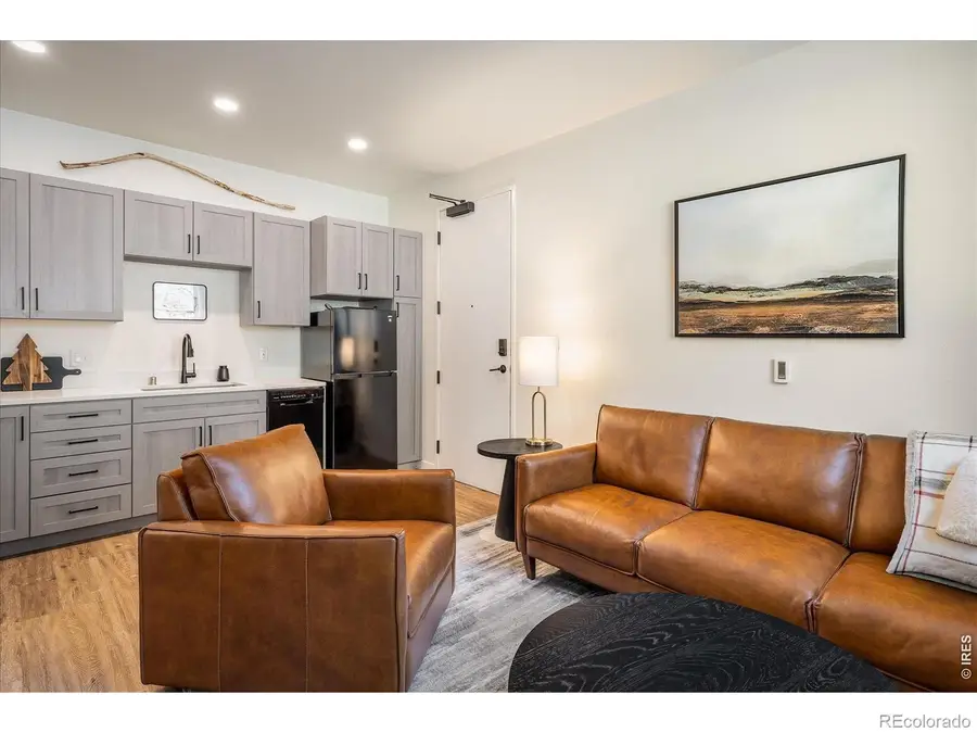2121 Hummingbird Way #201, Georgetown, CO 80444 - #2