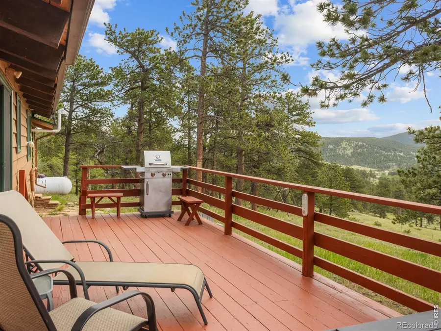 839 Ski Road, Allenspark, CO 80510 - #3