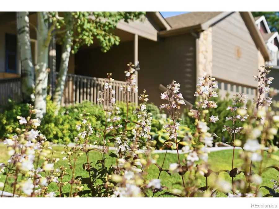 277 Sand Grouse Drive, Loveland, CO 80537 - #2