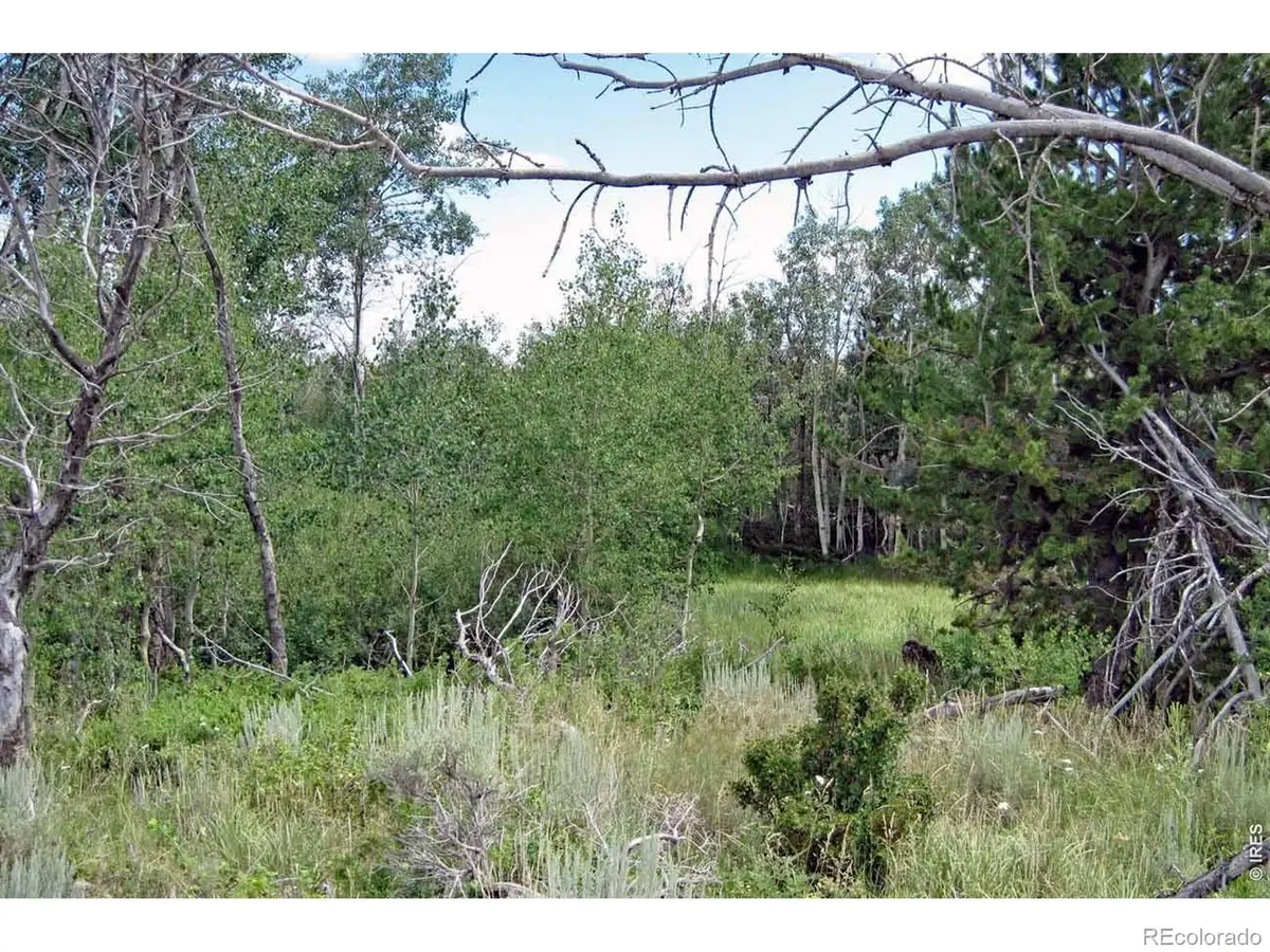 Wilderness Ranch Road, Livermore, CO 82070 - #1