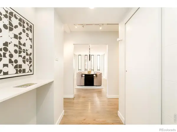 1111 Race Street #4B, Denver, CO 80206