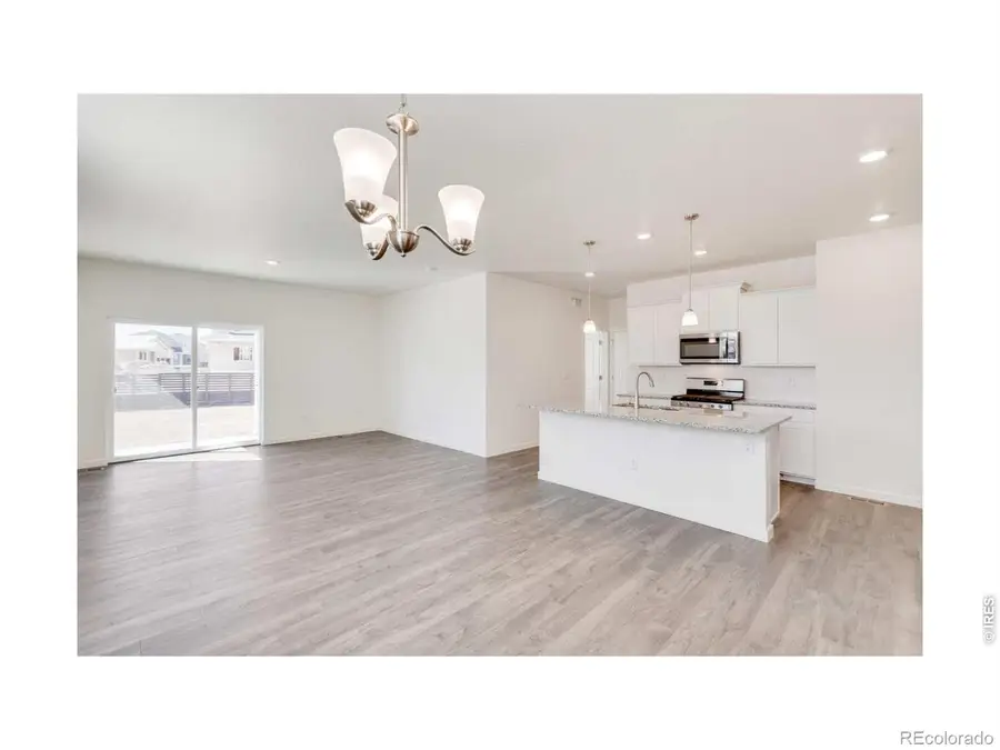 1002 Annelles Pool Lane, Severance, CO 80550 - #3