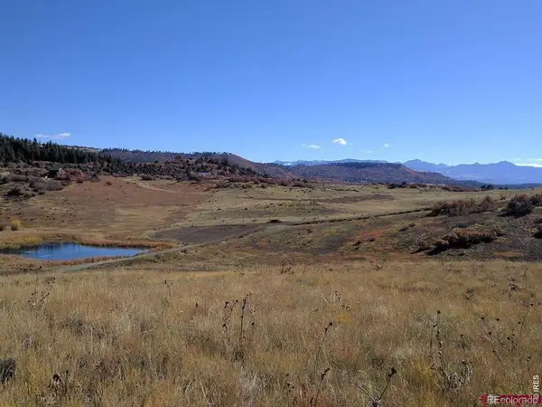 919 Roush Drive, Pagosa Springs, CO 81147