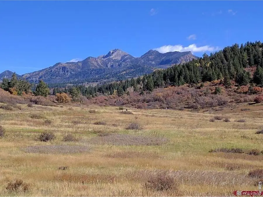 919 Roush Drive, Pagosa Springs, CO 81147 - #3