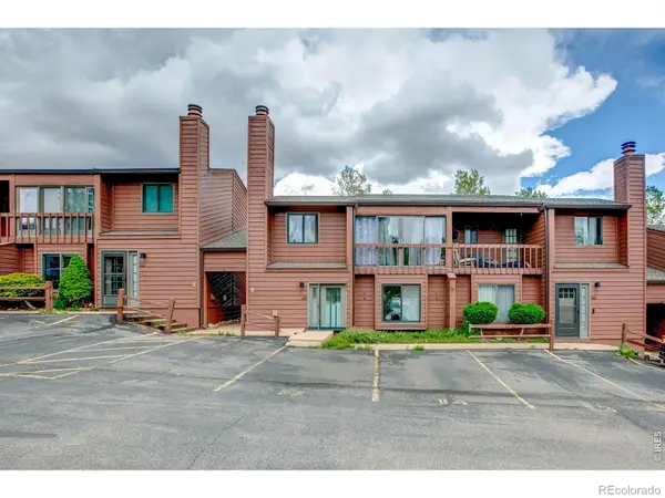 1050 S Saint Vrain Avenue #1, Estes Park, CO 80517