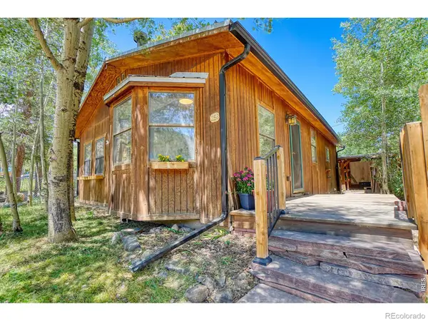 253 W Breed Street, Nederland, CO 80466
