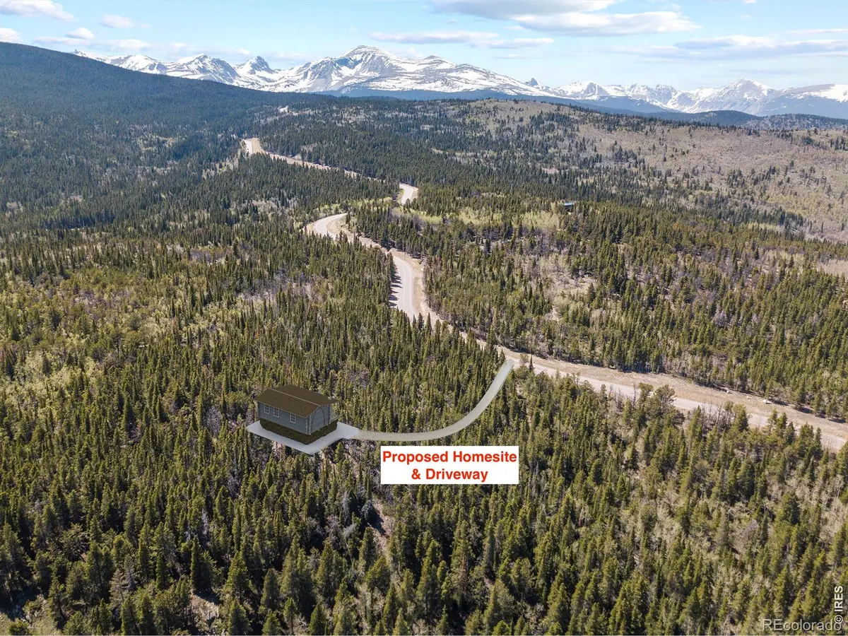 1199 Brainard Lake Road, Ward, CO 80481 - #1