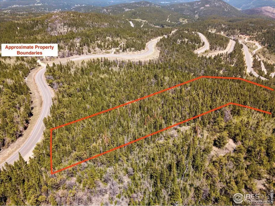 1199 Brainard Lake Road, Ward, CO 80481 - #2