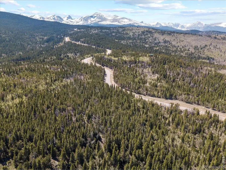 1199 Brainard Lake Road, Ward, CO 80481 - #3