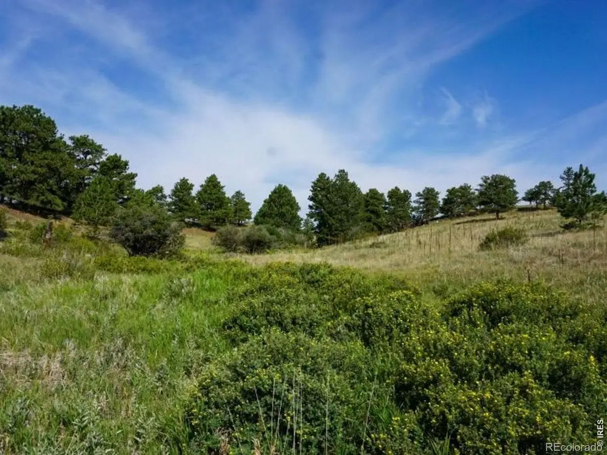 0 Stub Court, Livermore, CO 80536 - #1