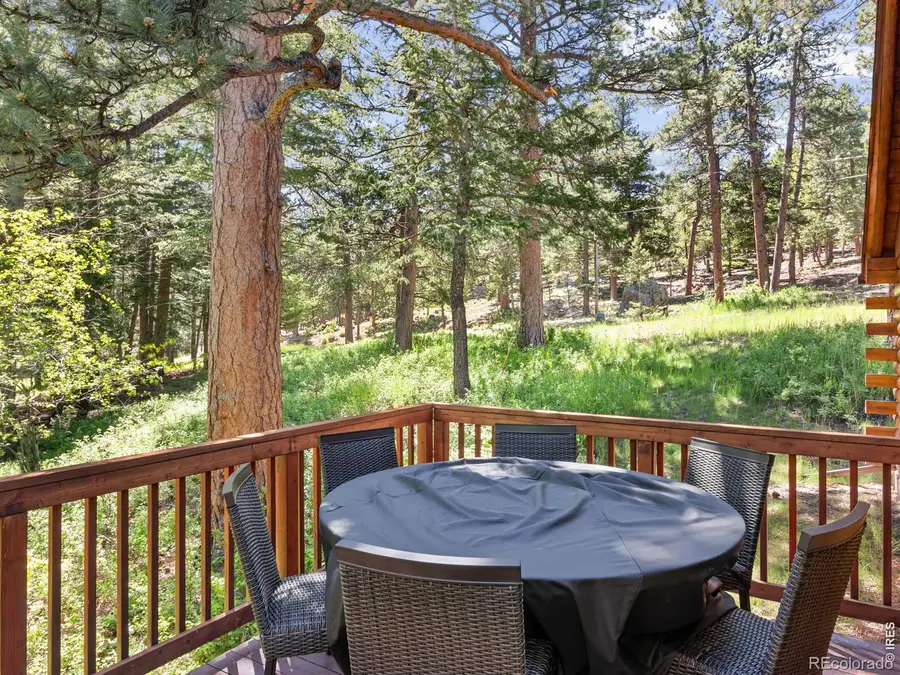 1062 Ramshorn Road, Estes Park, CO 80517 - #3