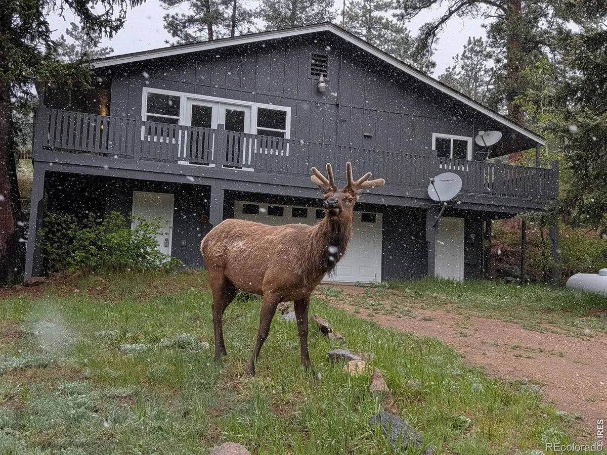 163 West Creek Road, Glen Haven, CO 80532 - #1