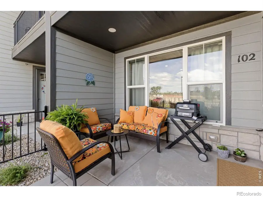 6825 Maple Leaf Drive #102, Timnath, CO 80547 - #3