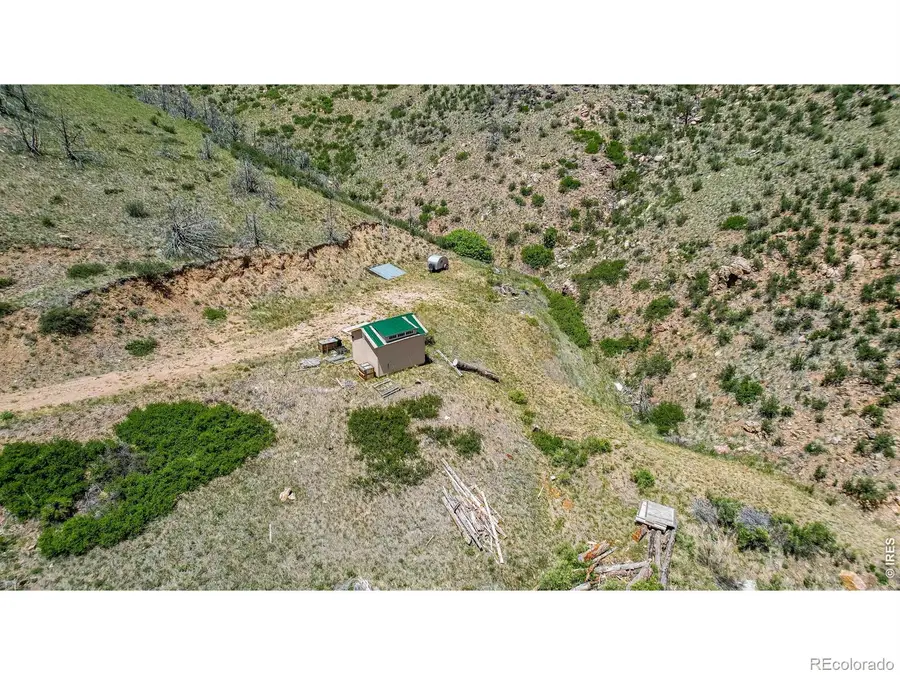 173 Grays Peak Court, Livermore, CO 80536 - #3