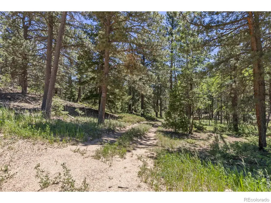 0 Magnolia Drive, Nederland, CO 80466 - #3