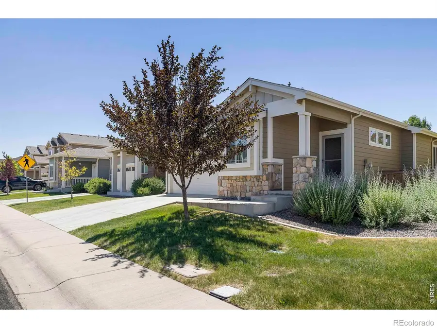 3166 Carney Street, Loveland, CO 80538 - #2