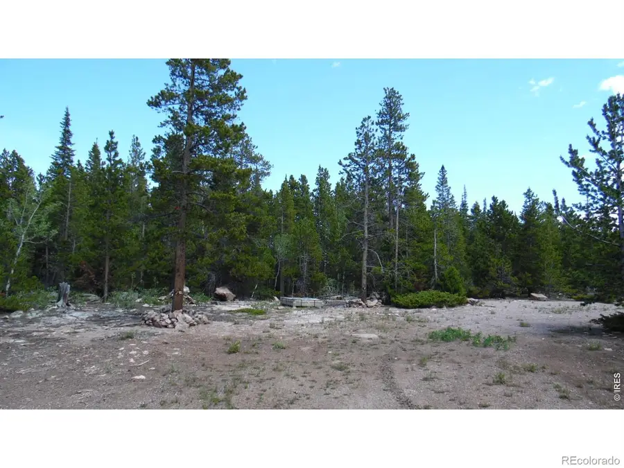 350 Natchez Circle, Red Feather Lakes, CO 80545 - #2