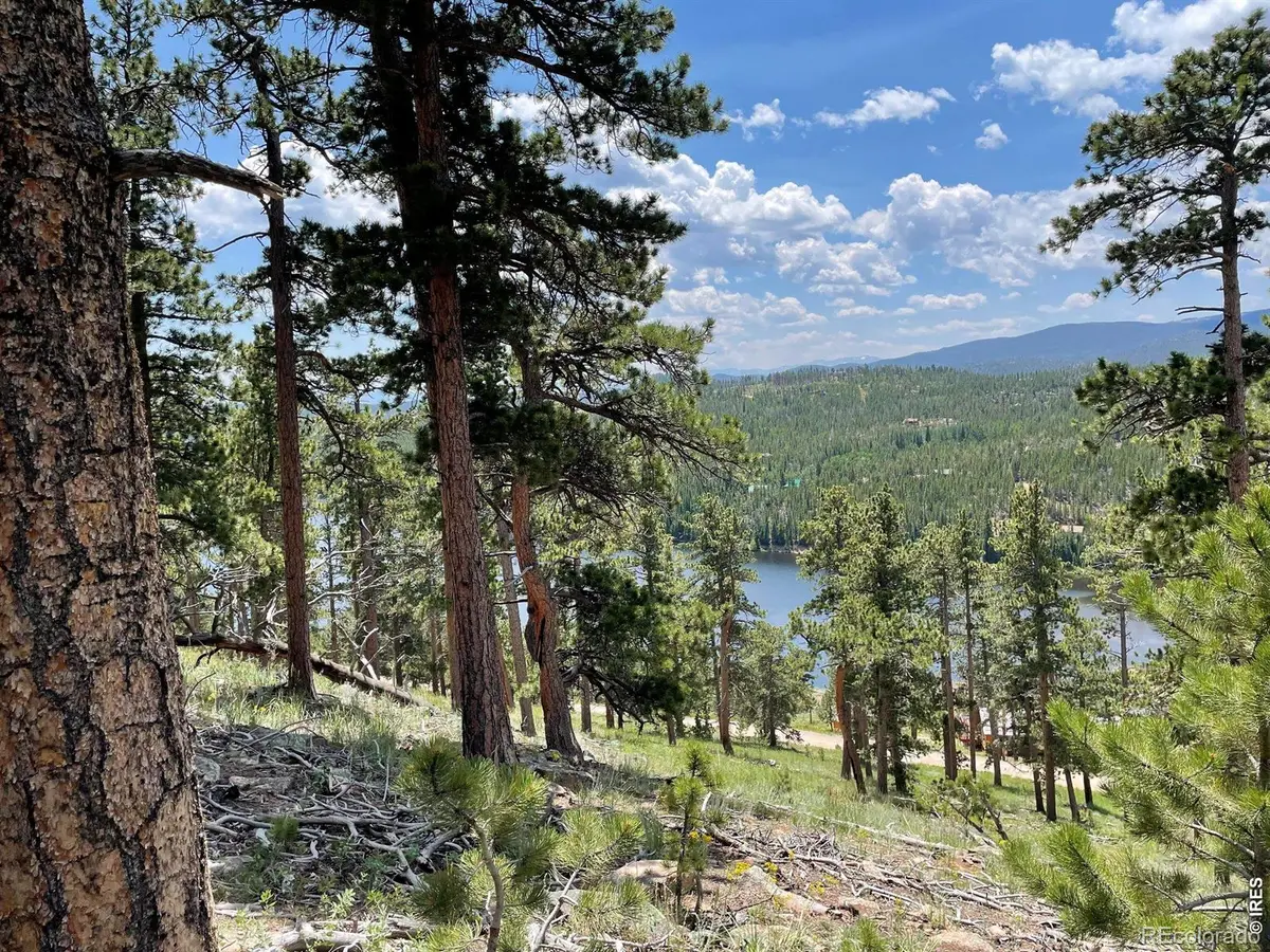 1091 Osage Trail, Red Feather Lakes, CO 80545 - #1