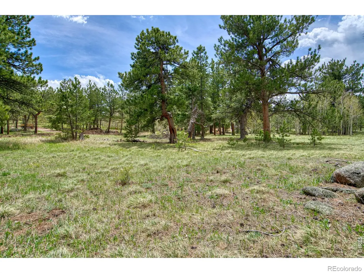 73 Sparn Way, Ward, CO 80481 - #1