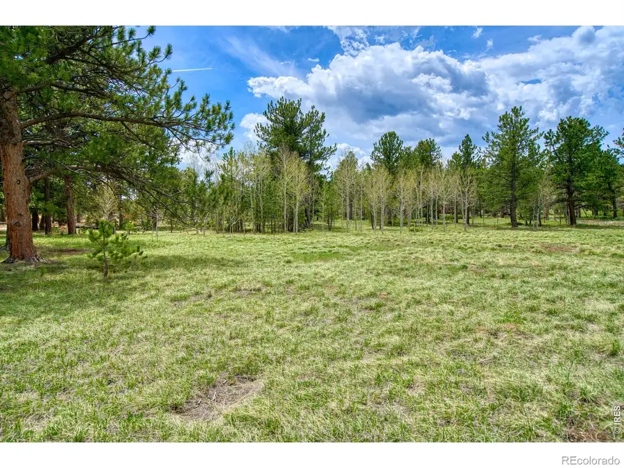 73 Sparn Way, Ward, CO 80481 - #3