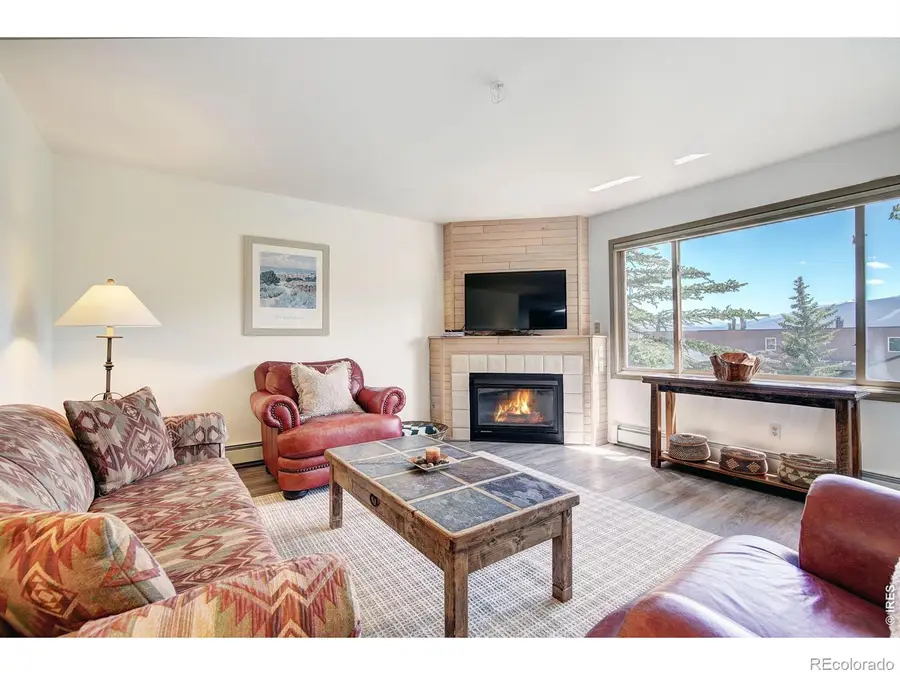 95600 Ryan Gulch Road, Silverthorne, CO 80498 - #2