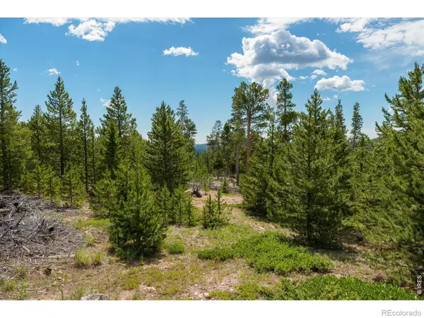 410 Pearl Creek Road, Red Feather Lakes, CO 80545