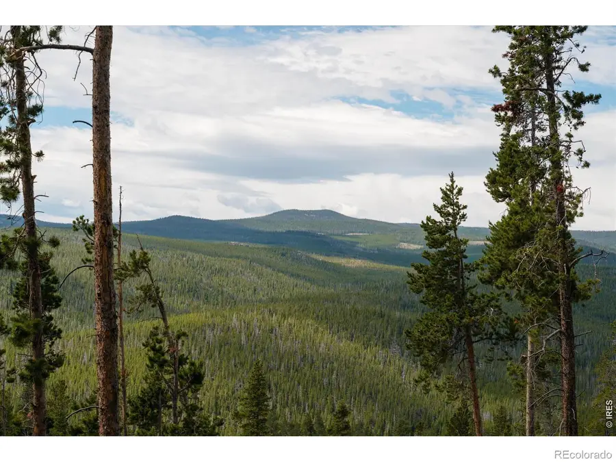 410 Pearl Creek Road, Red Feather Lakes, CO 80545 - #3