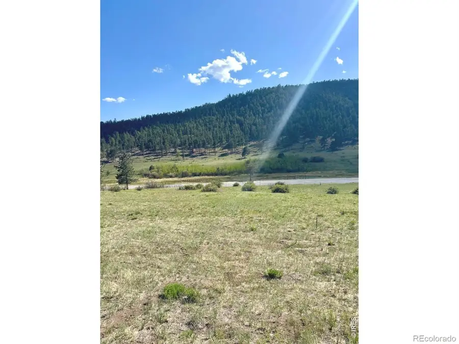 408 Meadowview Drive, Estes Park, CO 80517 - #3