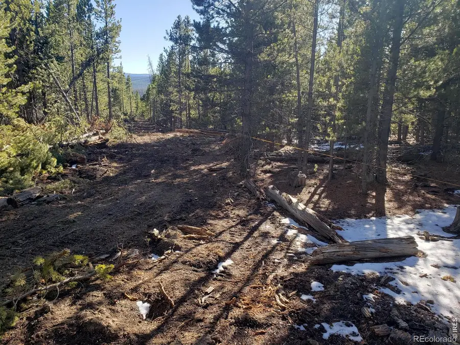 0 Forest Service 169 Lot #15 Road, Red Feather Lakes, CO 80545 - #2