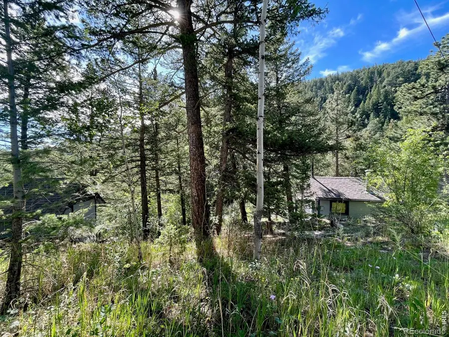 10763 Twin Spruce Road, Golden, CO 80403 - #2
