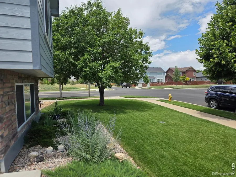 3445 Yule Trail Drive, Fort Collins, CO 80524 - #3
