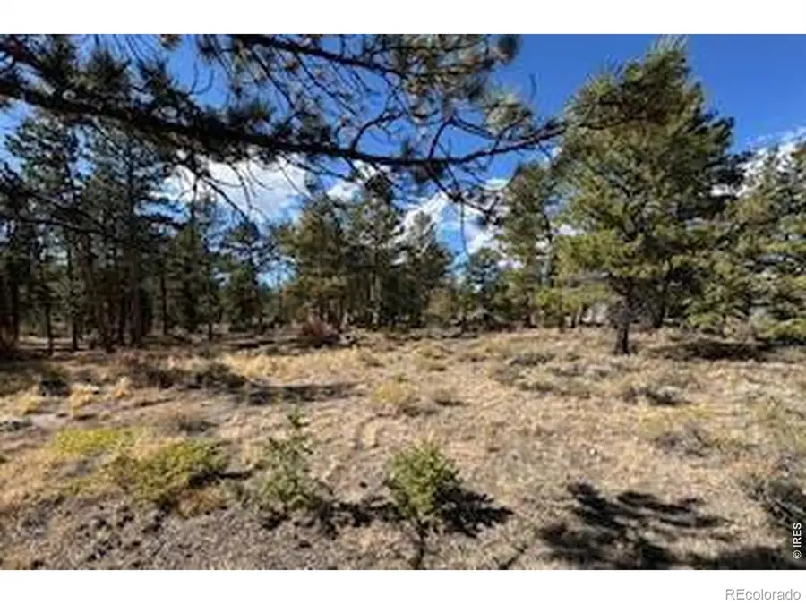 2921 Fox Acres Drive E, Red Feather Lakes, CO 80545 - #2