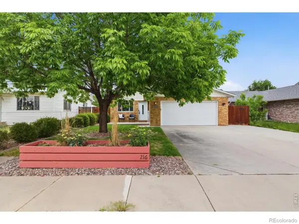 216 Chestnut Street, Windsor, CO 80550