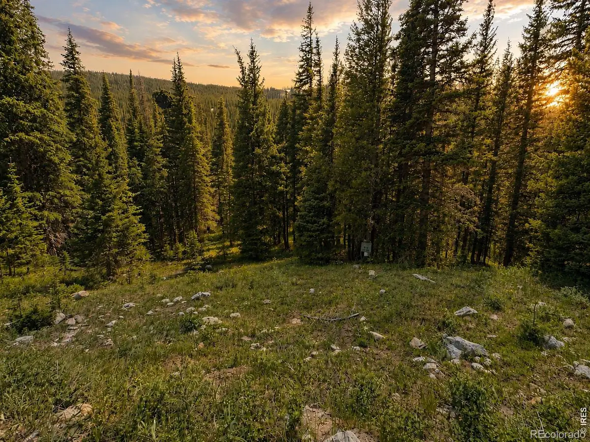 3894 Fourth Of July Road, Nederland, CO 80466 - #1