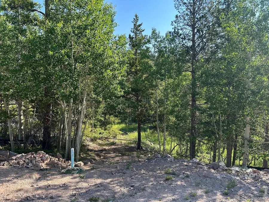 506 Elkridge Road, Red Feather Lakes, CO 80545 - #3